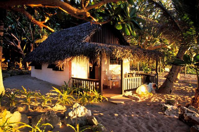 beach-shack-sean-davey