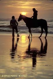 couple and horse on beach